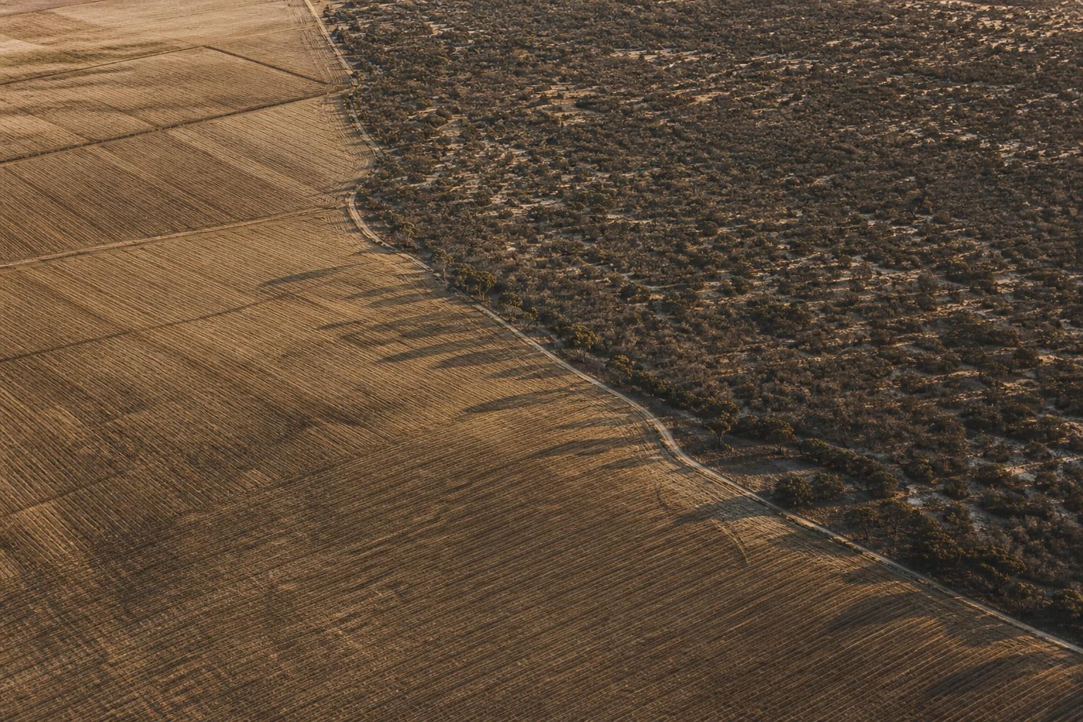 Aerial view of the boundary between ploughed fields and uncleared scrub, a single track running along the edge.